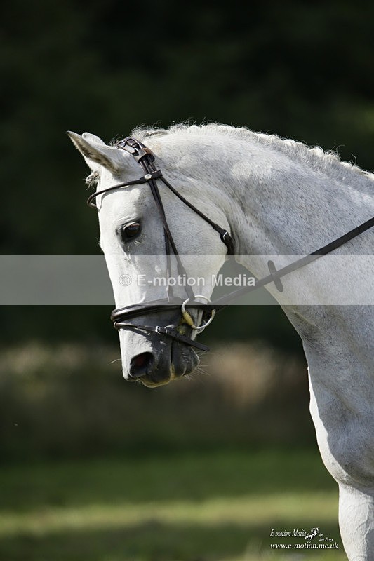 BVRC 120921 387 - Bourne Valley Riding Club UA Dressage & Show Jumping 12/09/21