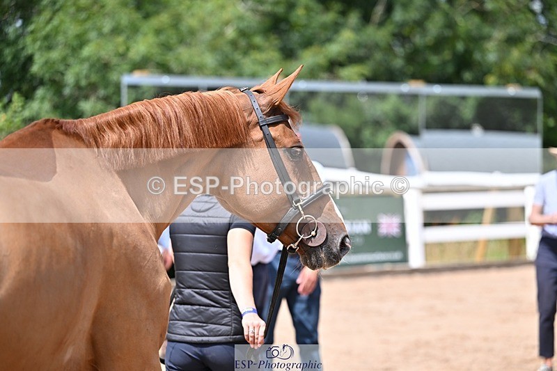 250716-125422-00211 - Trot Up 12.30 to 1.30