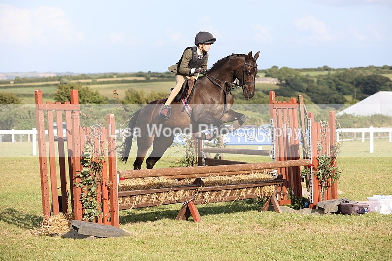 JPP_3255 - Class 21: Working Hunter 80cm