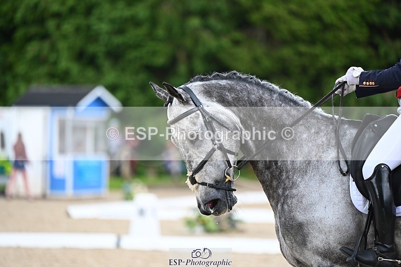 240524-141131-10154 - 529-SBH_BIG_WALL-Izzy_Taylor