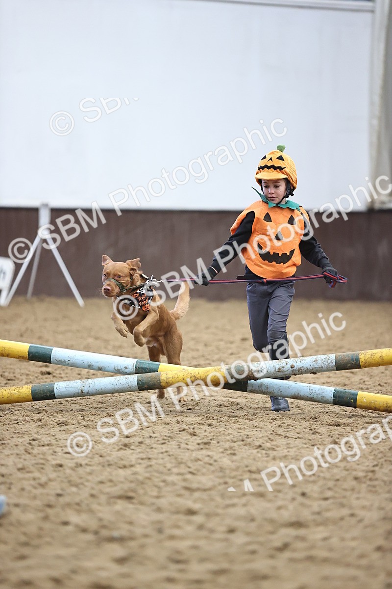 SBM_001365 - Class 3 - Horse & Hound 60cm