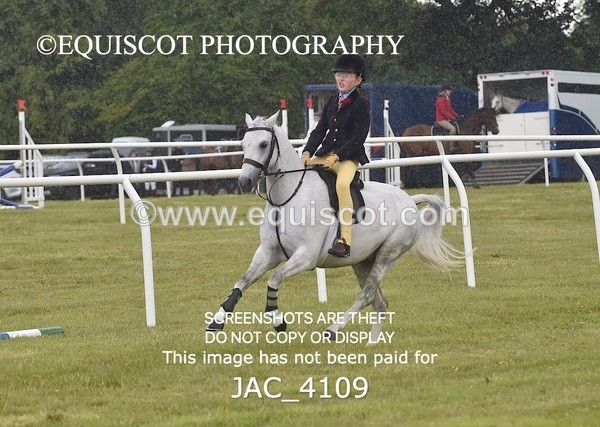 JAC_4109 - 40CM WORKING HUNTER