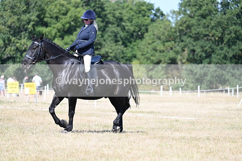 WJ7_9944 - Time 11:03 to 11:28