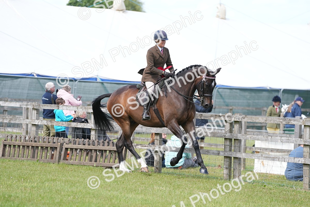 SBM_16291 - Class 105-106 - RIHS Riding Horses