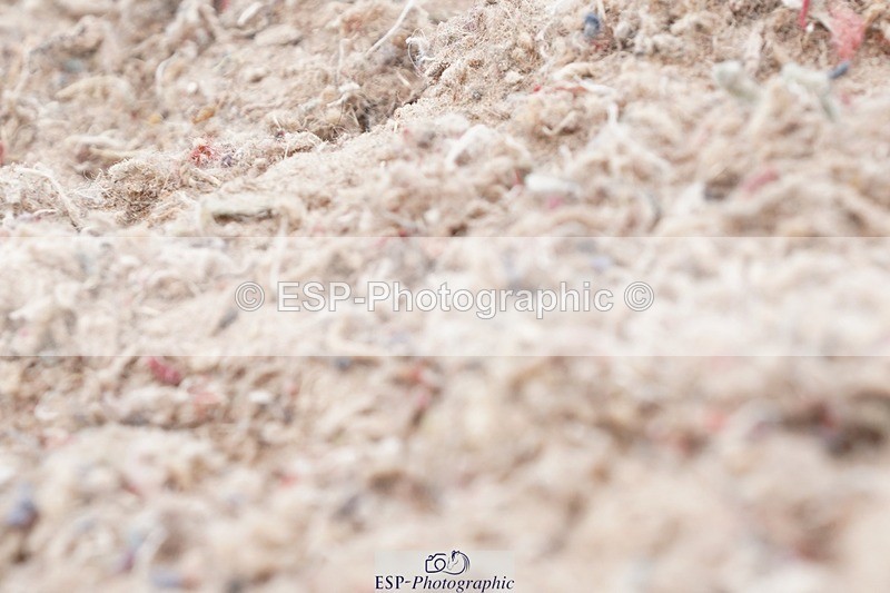 250622-114822-15790 - Cls 55 Freestyle Medium Inc Presentations