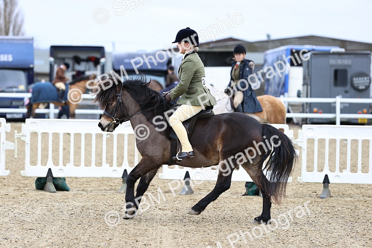 SBM_006809 - Class 29 - 30 - M&M Pure Novice Small-Large Breeds