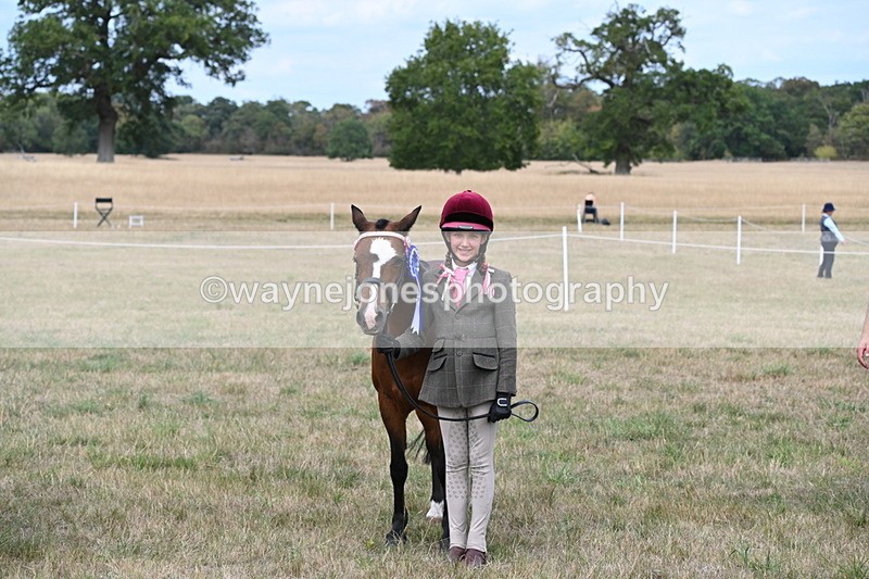 WJ6_6278 - Class 19 In-hand Veterans (Uploaded correct folder)