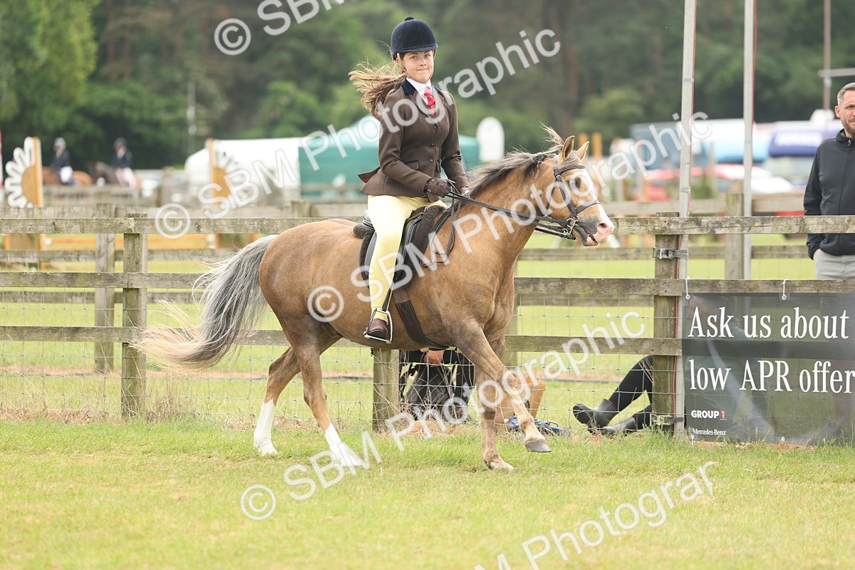 SBM_07099 - Class 76-77 - Ridden M&M Welsh Ponies