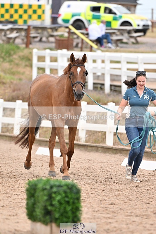 250716-160859-02450 - Trot Up 3.30 to 4.30