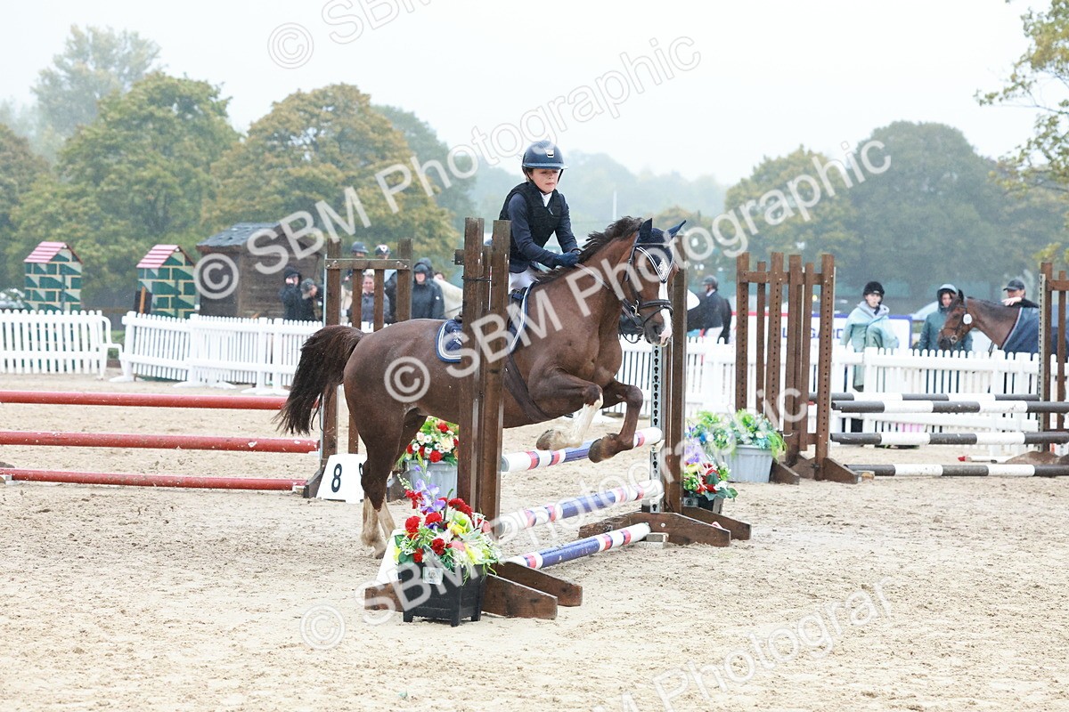 SBM_73435 - Supreme Championship Junior Pony 60cm & 65cm
