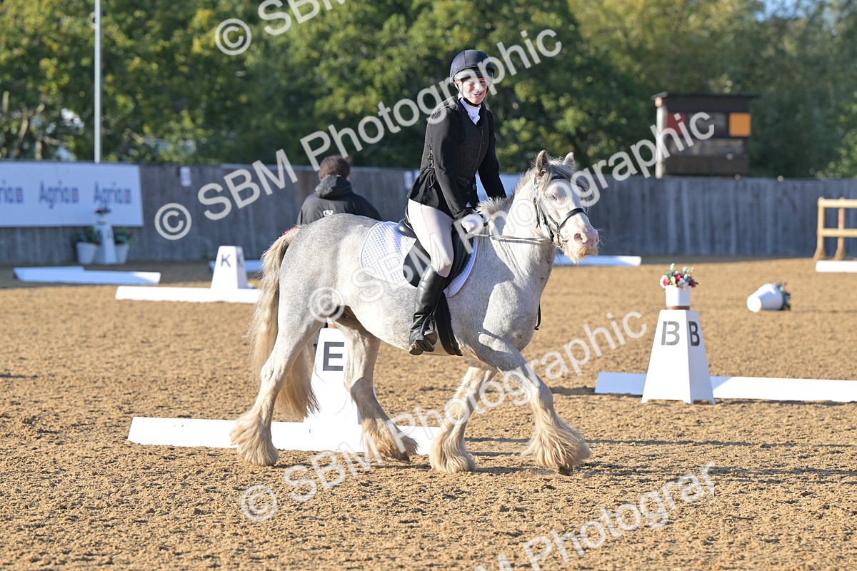 SBM_13120 - D3 - Small Tour Championship Intro 3