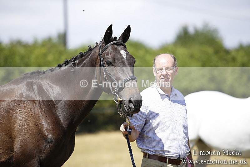 _C7A9742 - BVRC Sow 2018 Ring 2