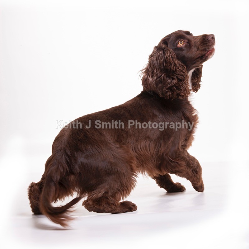 YR6M4471 - Portraiture