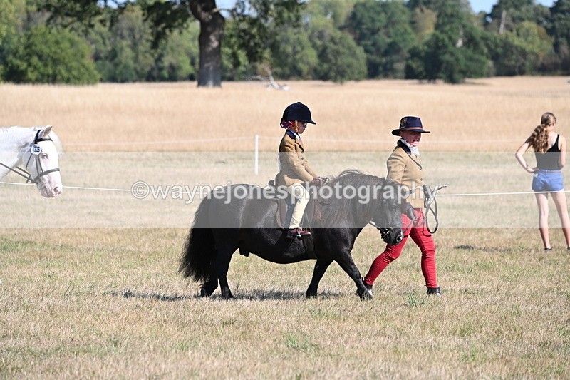 WJ6_7391 - Class 34 Judges Choice
