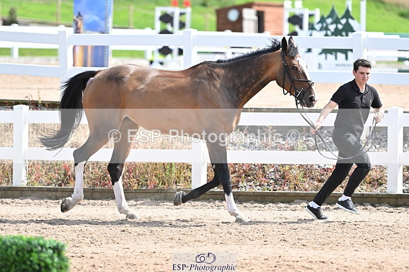 240717A-151747-02727 - Trot Up 3pm to 4pm