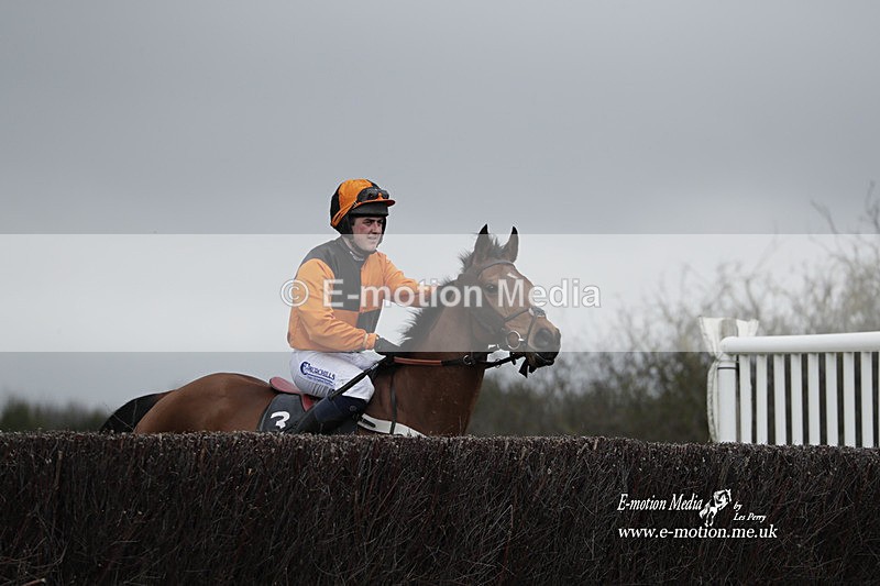 PtP 260323 0689 - New Forest Hounds Point-to-Point Larkhill 26/03/23