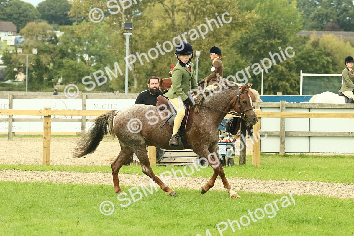 SBM_69959 - S59 - Mountain & Moorland Ridden Small Breeds