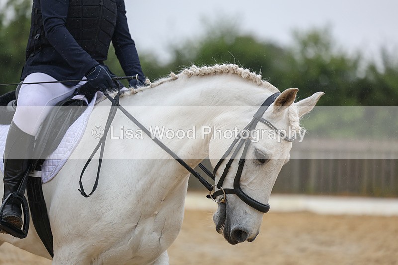 3E7A8902 - Class 3: Prelim 3 2024 - Section A