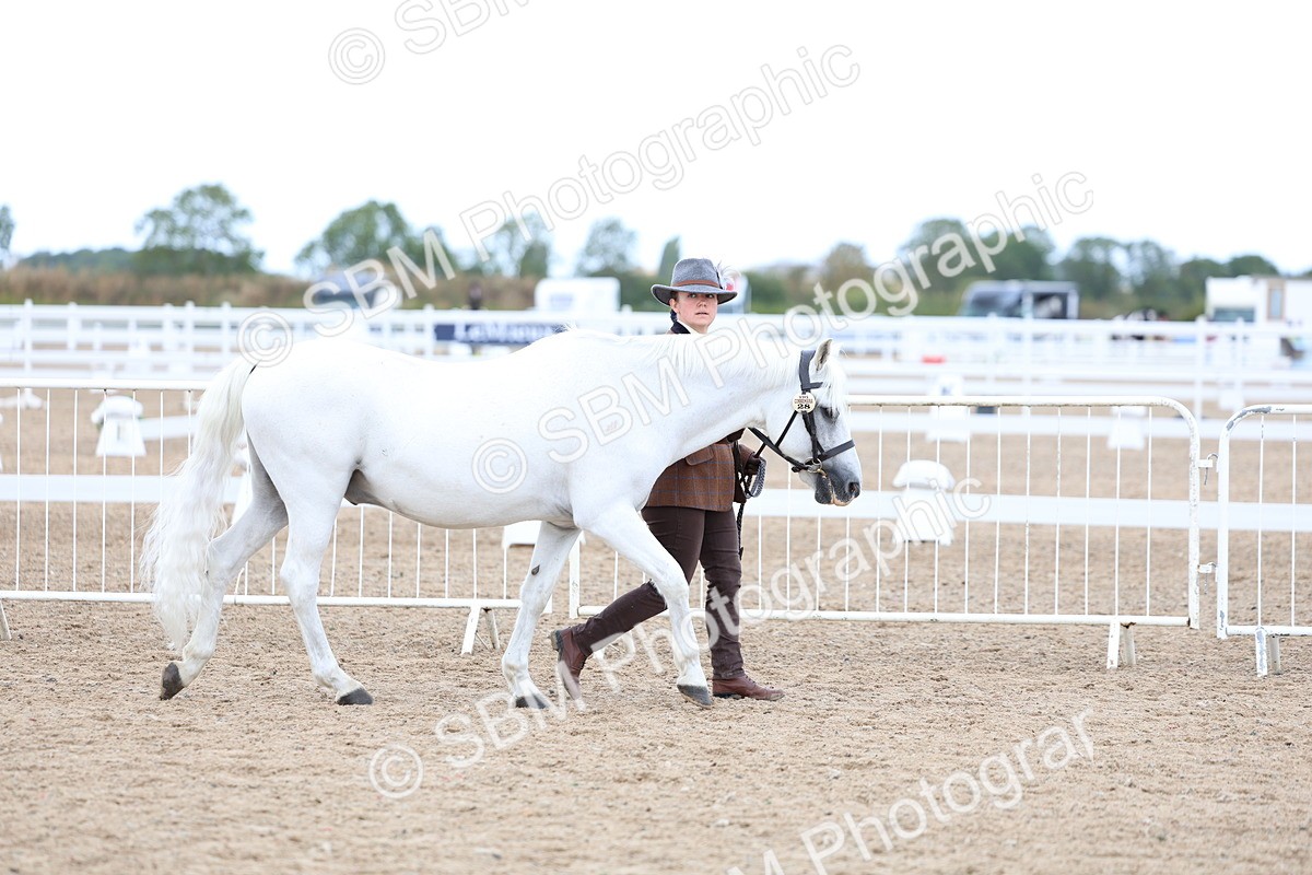 SBM_04984 - Class 27 - IH Competition Horse or Pony