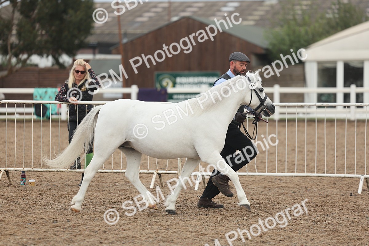 SBM_08455 - Class 29 - IH Veteran Pony