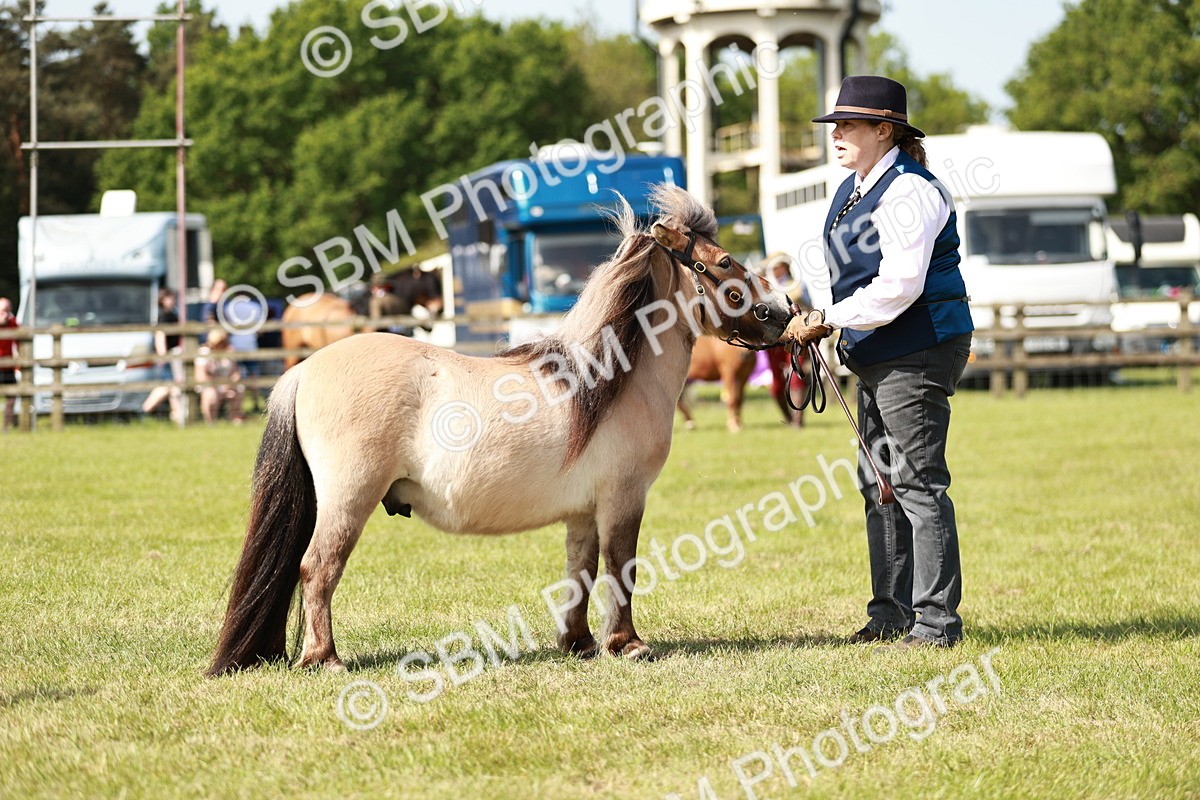 SBM_01774 - Class 14-23 - Mountain & Moorland In Hand Non Welsh