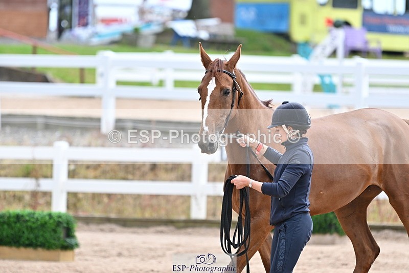 240717A-143022-02090 - Trot Up 2pm to 3pm - This folder is not in time order