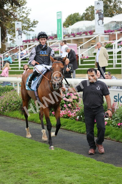 yr04092022r2-44 - Race 2 2.20pm John and Judith Marshall Memorial Stakes