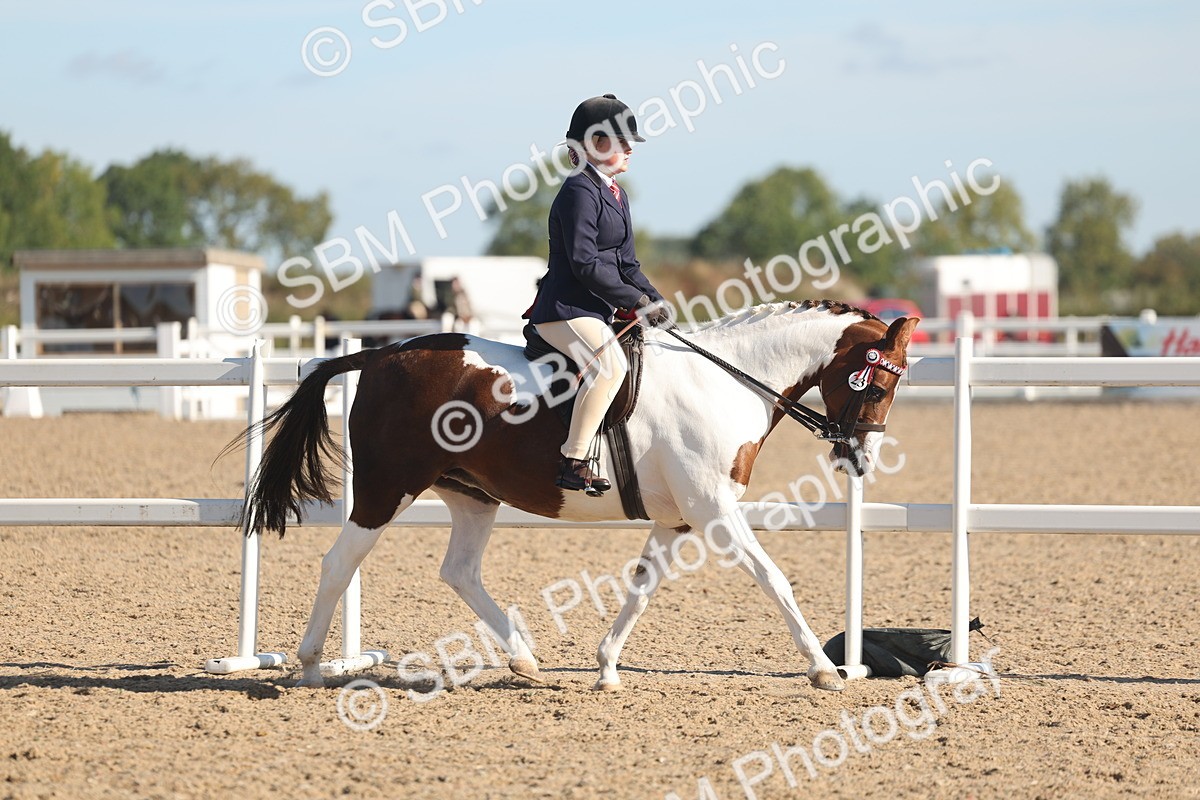 SBM_12291 - Class 304 - Ridden part Bred Horse Pony