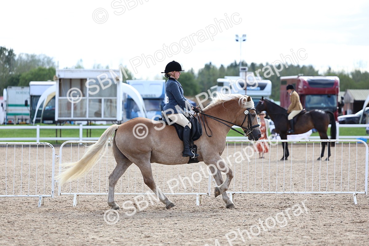 SBM_17137 - Class 315 - Best Horse - Rider Combination