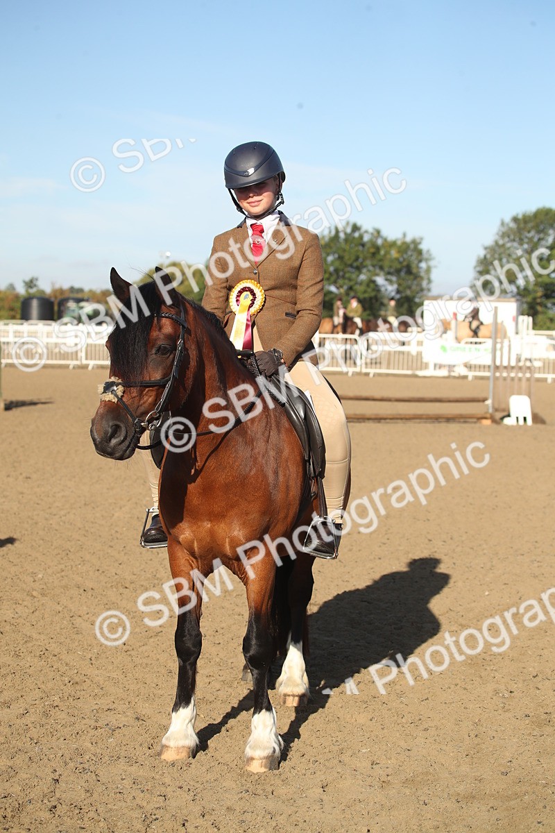 SBM_11589 - Class 502 - Riding Club Horse