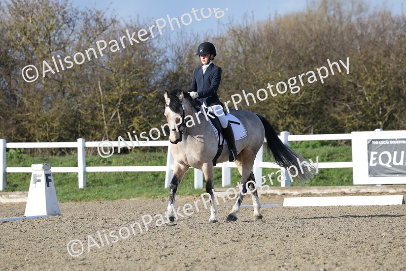 20260314-5837 - DR 7 - Elementary 1