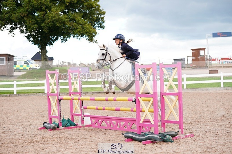 250921-155026-04180 - Cls 31 Stepping Stones