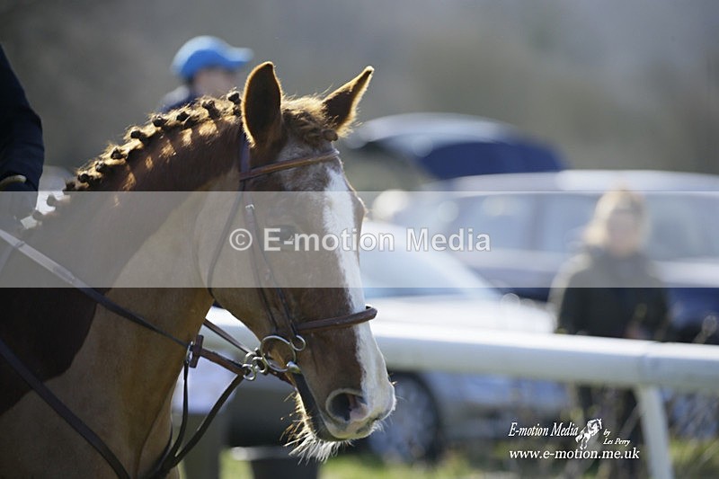 PtP 260222 20 - Kingston Blount Racing Club Point-to-Point 26/02/22