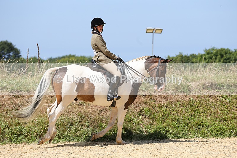 1X9A8826 - Class 19: Riding Club Horse