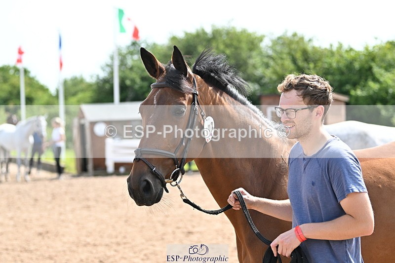 240717A-155847-03237 - Trot Up 3pm to 4pm