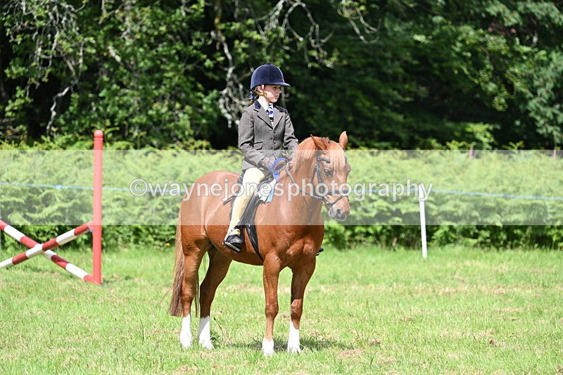 WJ7_1864 - Class 9 Pony Club Pony