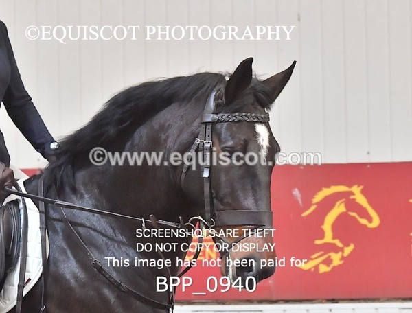 BPP_0940 - CLASS 4 0.95m Amateur Championship Qualifier