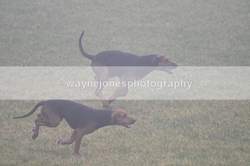 WJ7_3149 - A camera