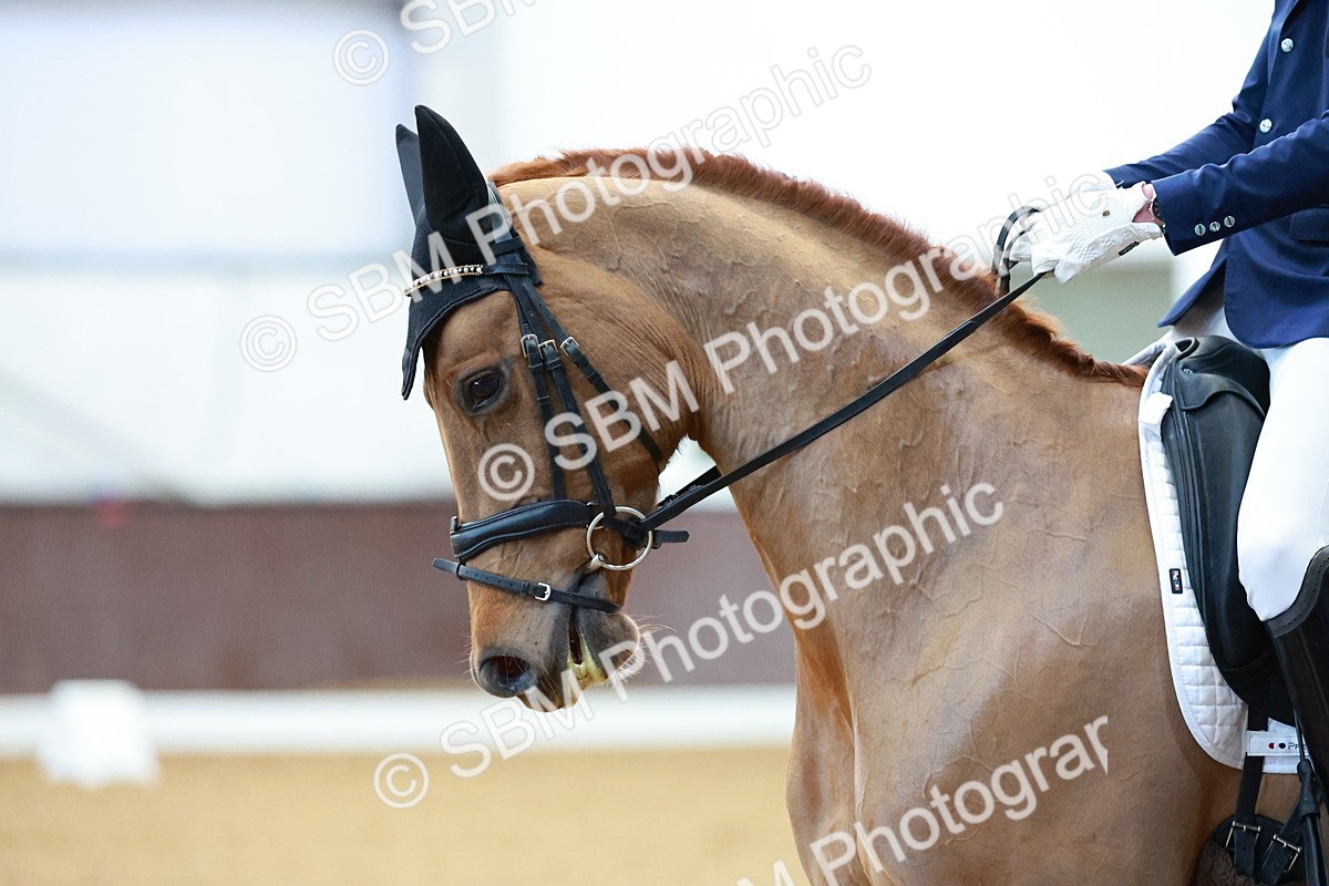 SBM_001302 - Class 18-15-16-22 - Elementary 5 Novice 5-Novice 6