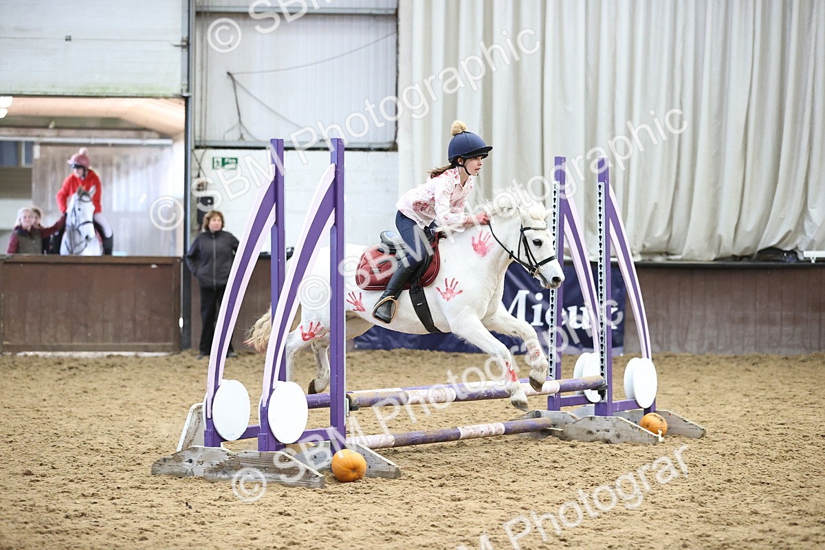 SBM_001429 - Class 3 - Horse & Hound 60cm