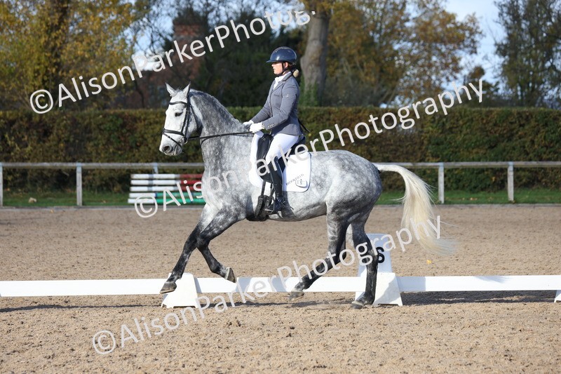 20251102-1181 - Class 6 - Elementary 6