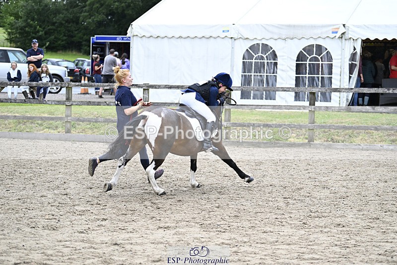 240822X-140701-08787 - 40cm LR R2 13.00 to 15.00