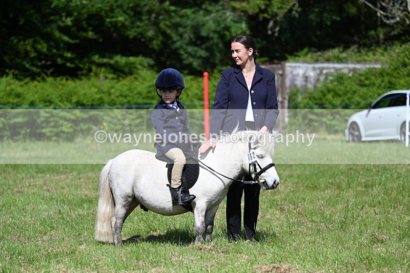 WJ7_0768 - Class 8 First Rally Pony