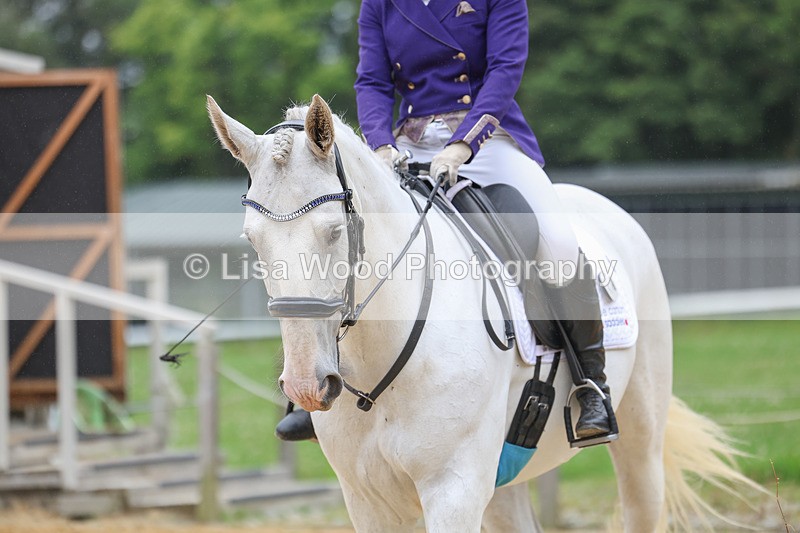 3E7A5338 - Class 2: Intro 4 2024 section B