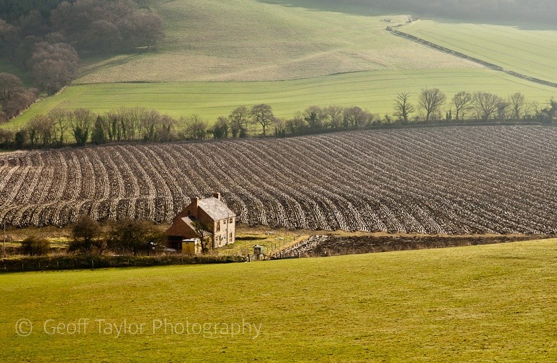 Lower Dinchope 1 - Wenlock Edge