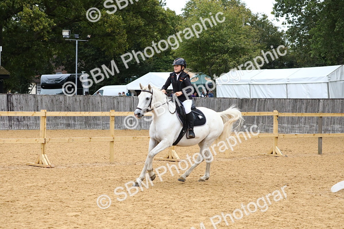 SBM_60118 - J63 - Junior Pony 50cm Championship