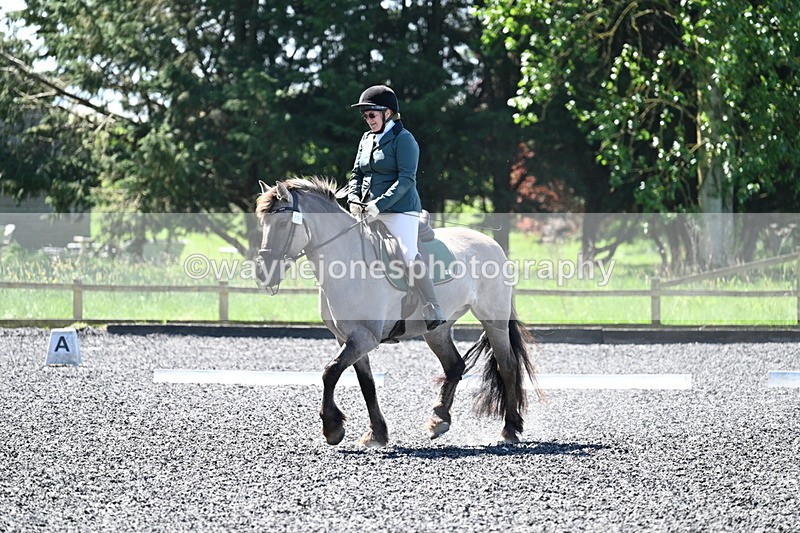 WJ7_9415 - Time 12:10 to 12:21