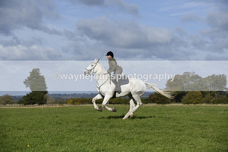 _DSC5734 - Time 10:49 to 11:23