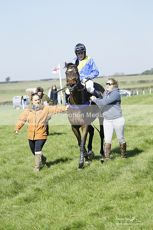 PtP 190322 248 - Wilton Hunt PtP Milborne St Andrew 19/03/22