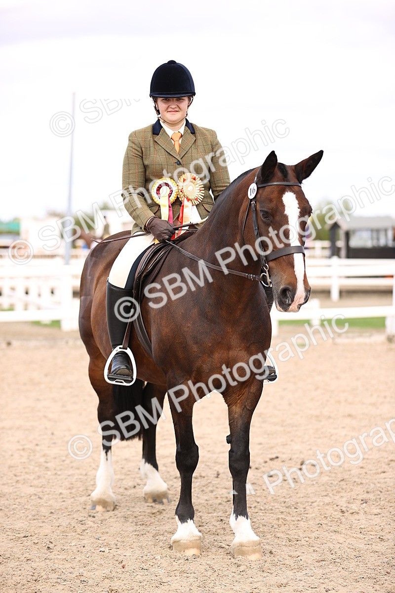 SBM_16179 - Class 420 - Horse-Pony Judge would most like to take home (IH or Ridden) Jnr